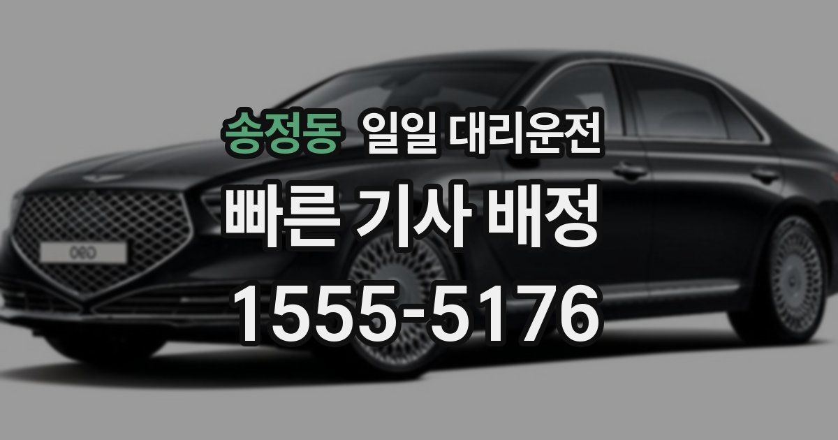송정동 일일 대리운전