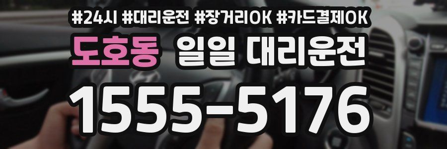 도호동 일일 대리운전