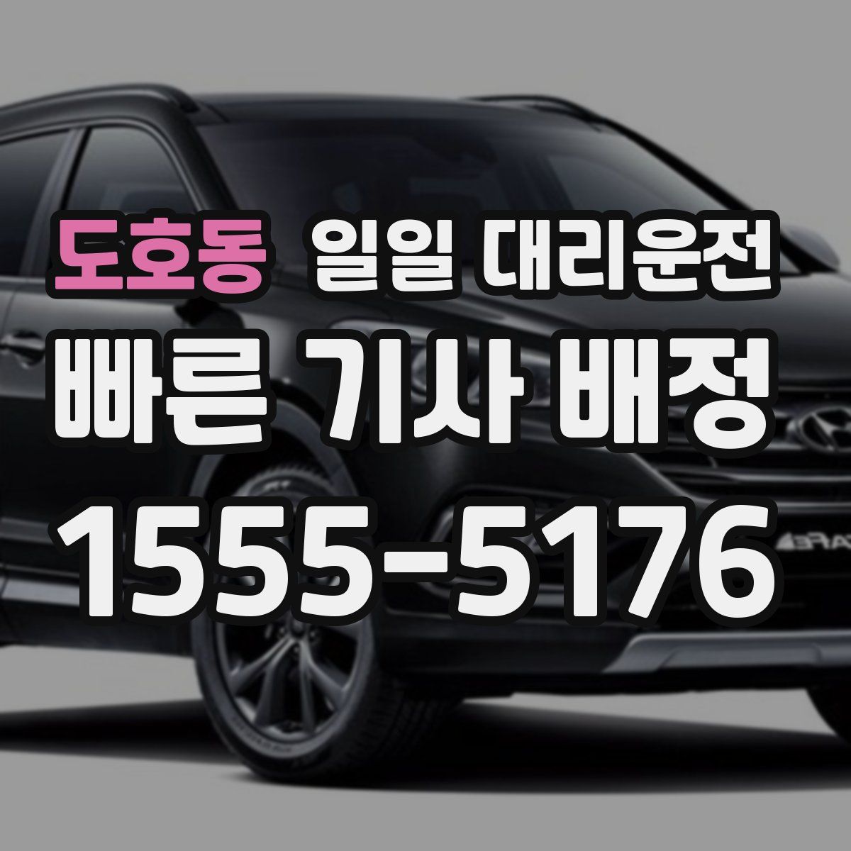 도호동 일일 대리운전