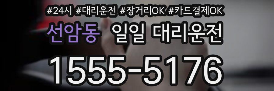 선암동 일일 대리운전
