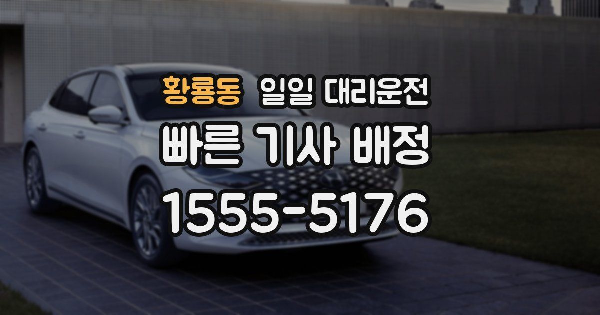 황룡동 일일 대리운전