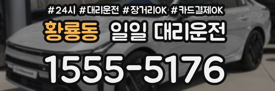 황룡동 일일 대리운전
