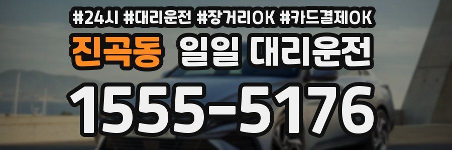 진곡동 일일 대리운전
