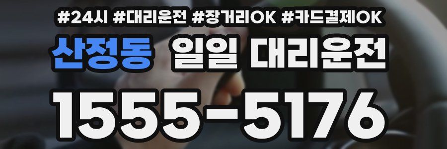 산정동 일일 대리운전