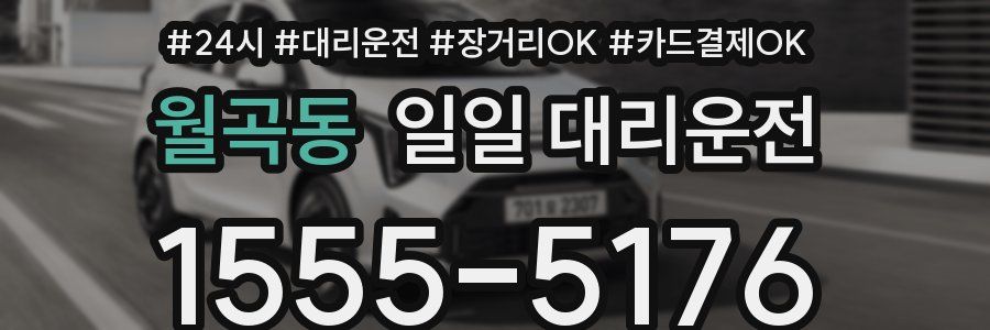 월곡동 일일 대리운전