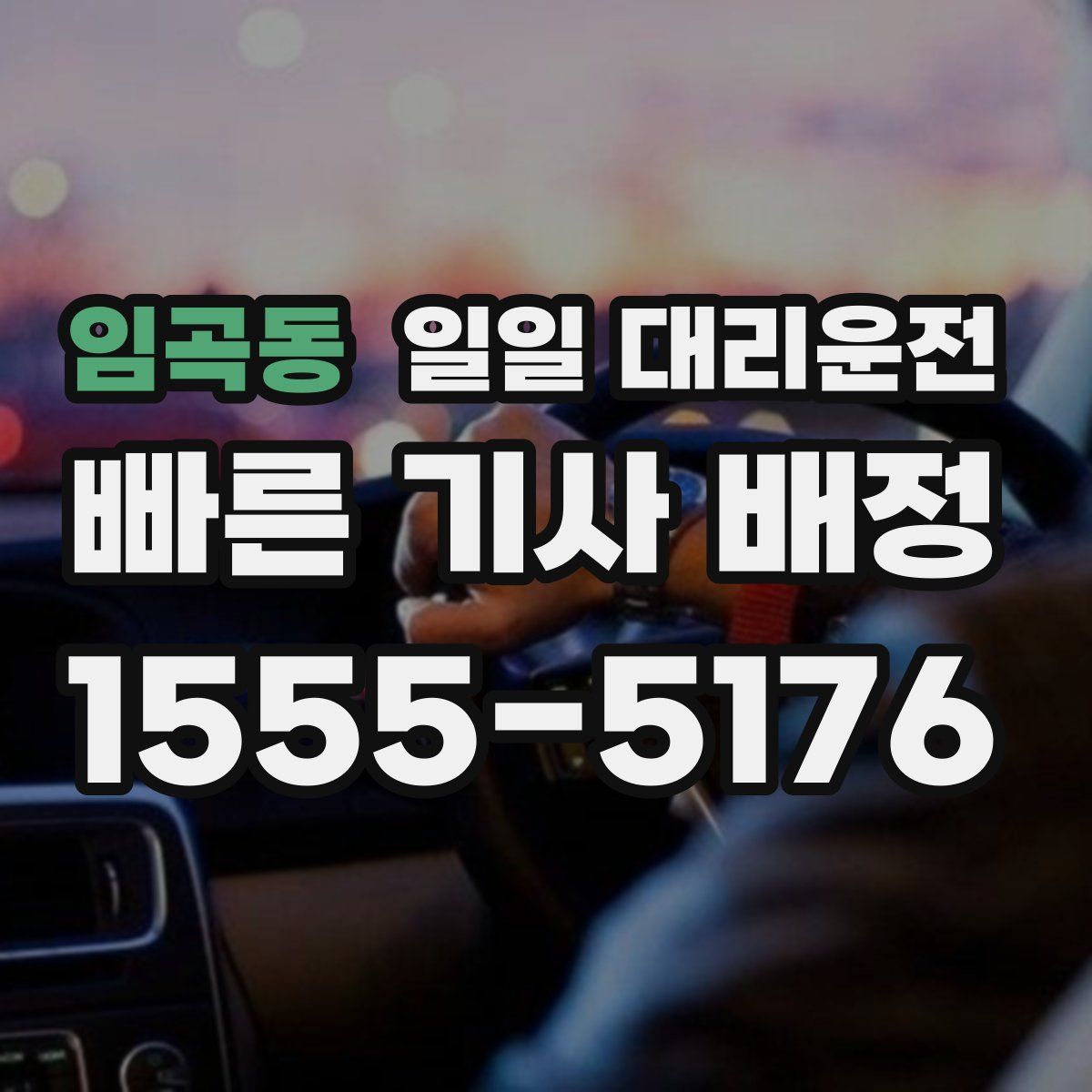 임곡동 일일 대리운전