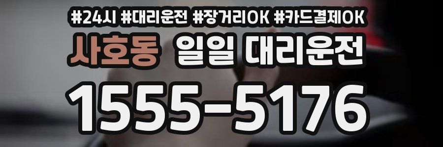 사호동 일일 대리운전