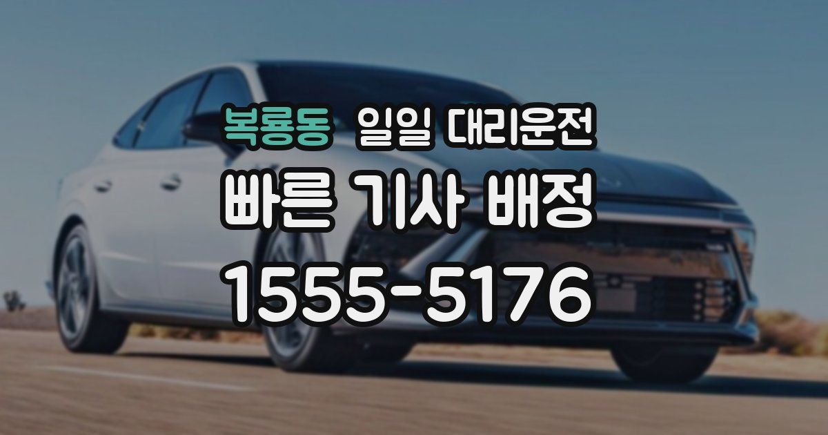 복룡동 일일 대리운전