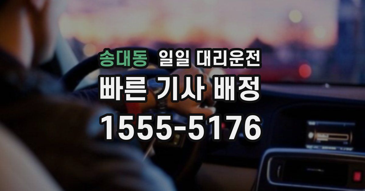송대동 일일 대리운전