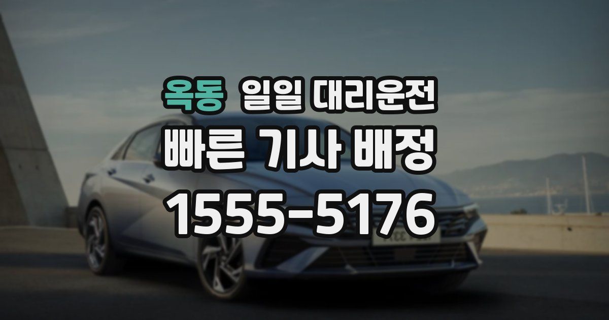 옥동 일일 대리운전