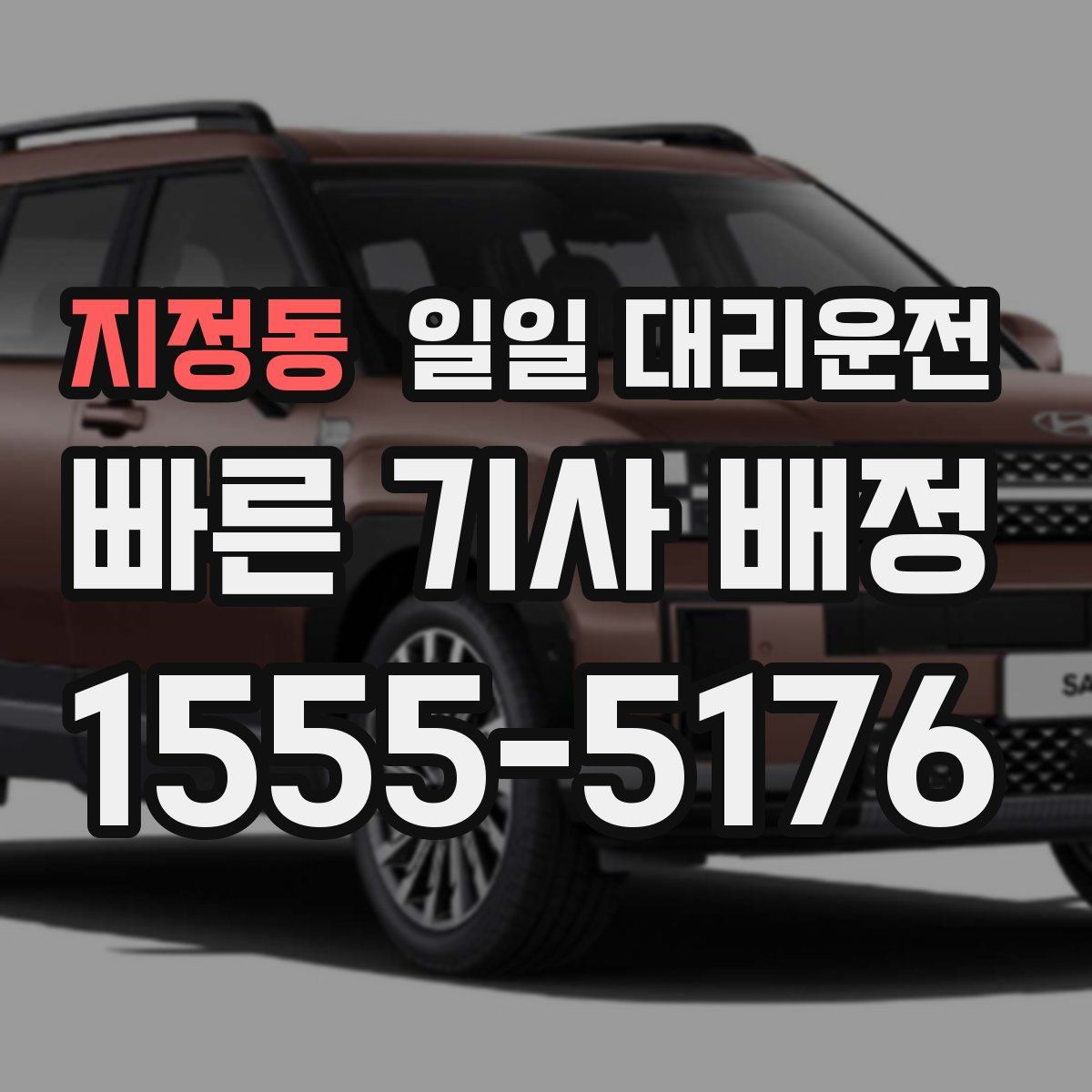 지정동 일일 대리운전