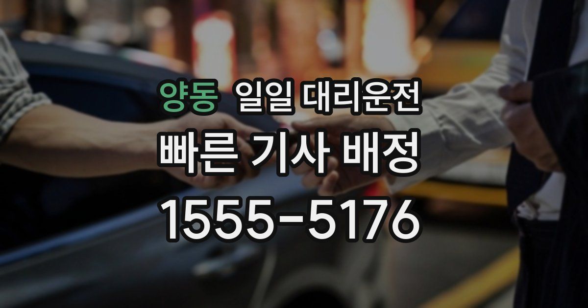 양동 일일 대리운전