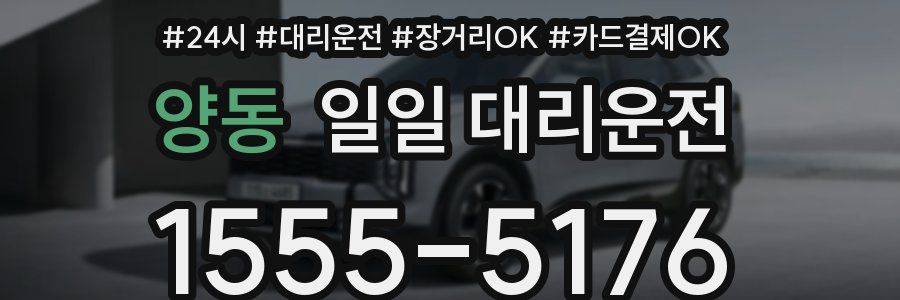 양동 일일 대리운전