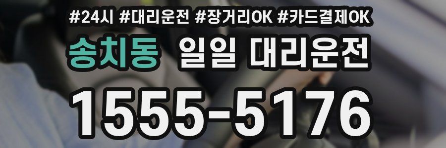 송치동 일일 대리운전