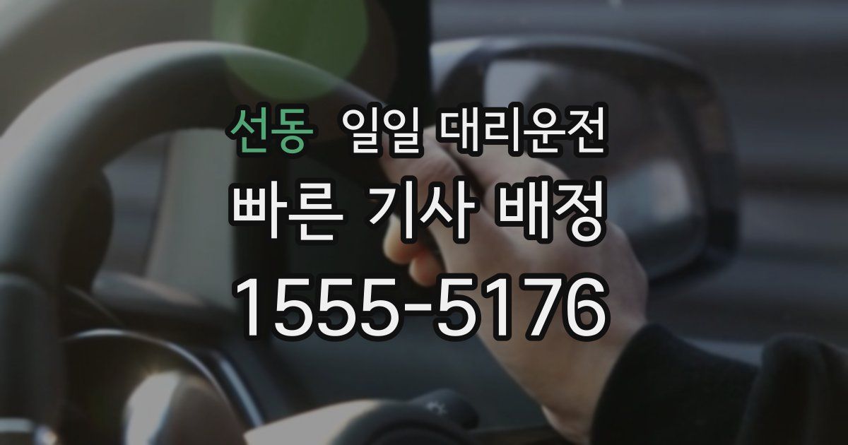 선동 일일 대리운전