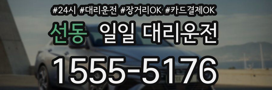 선동 일일 대리운전