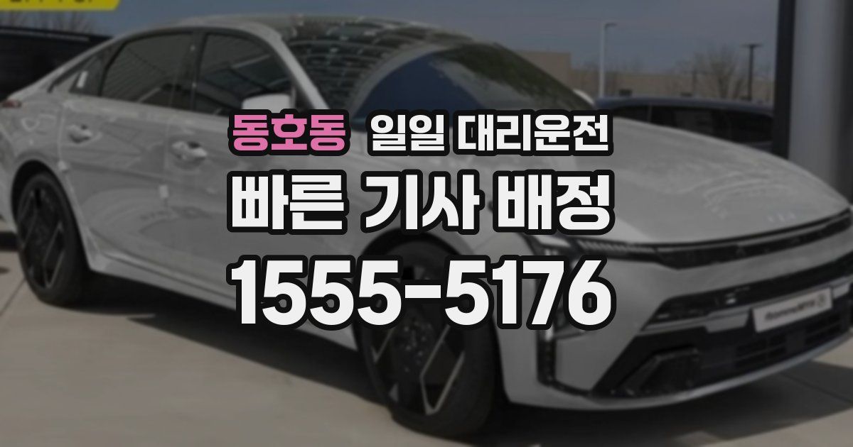 동호동 일일 대리운전