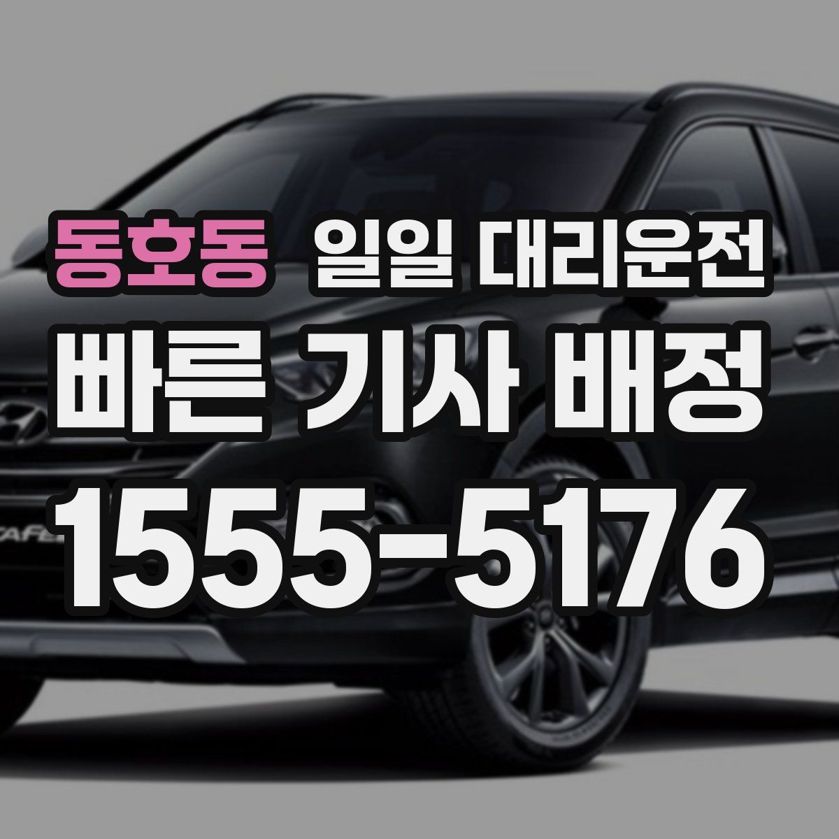 동호동 일일 대리운전