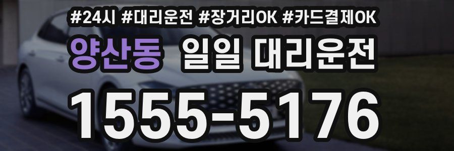 양산동 일일 대리운전