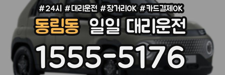 동림동 일일 대리운전