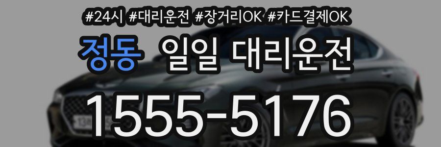 정동 일일 대리운전