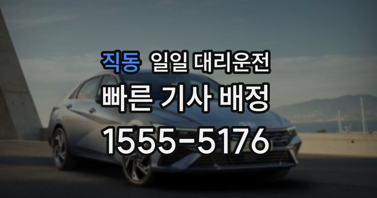 직동 일일 대리운전