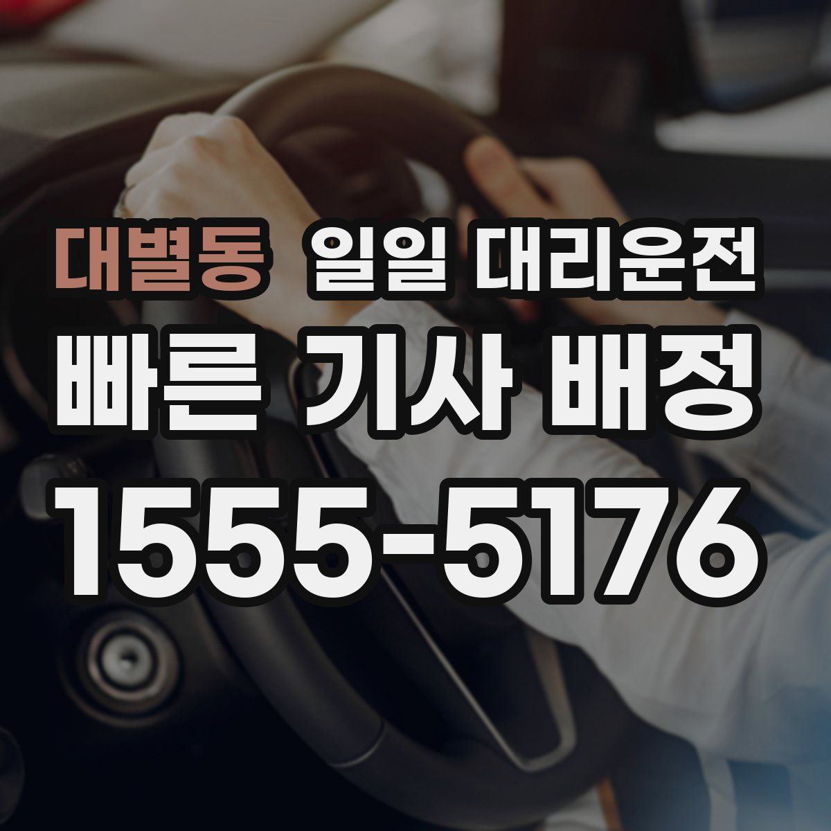 대별동 일일 대리운전