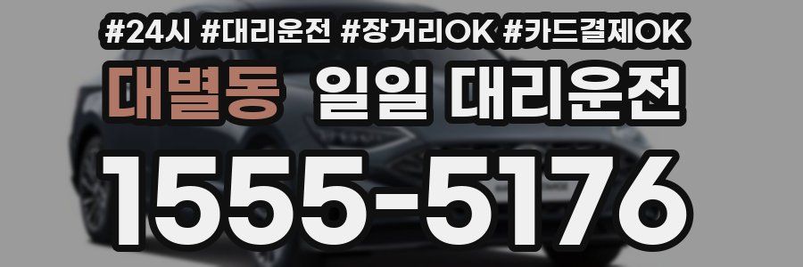 대별동 일일 대리운전