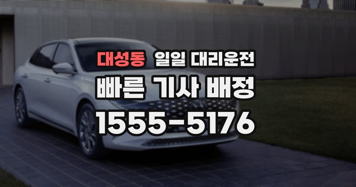 대성동 일일 대리운전