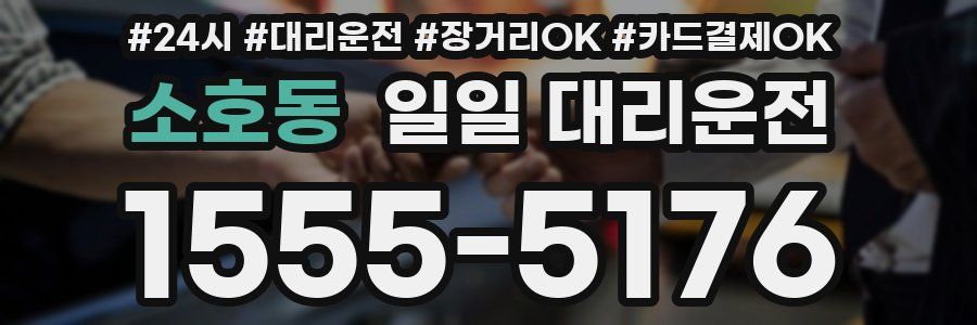 소호동 일일 대리운전