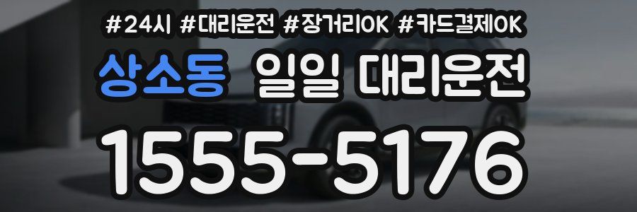 상소동 일일 대리운전