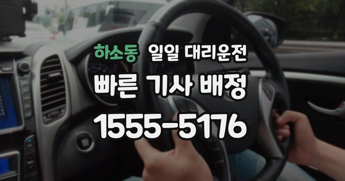 하소동 일일 대리운전
