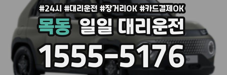 목동 일일 대리운전