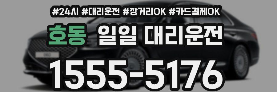 호동 일일 대리운전