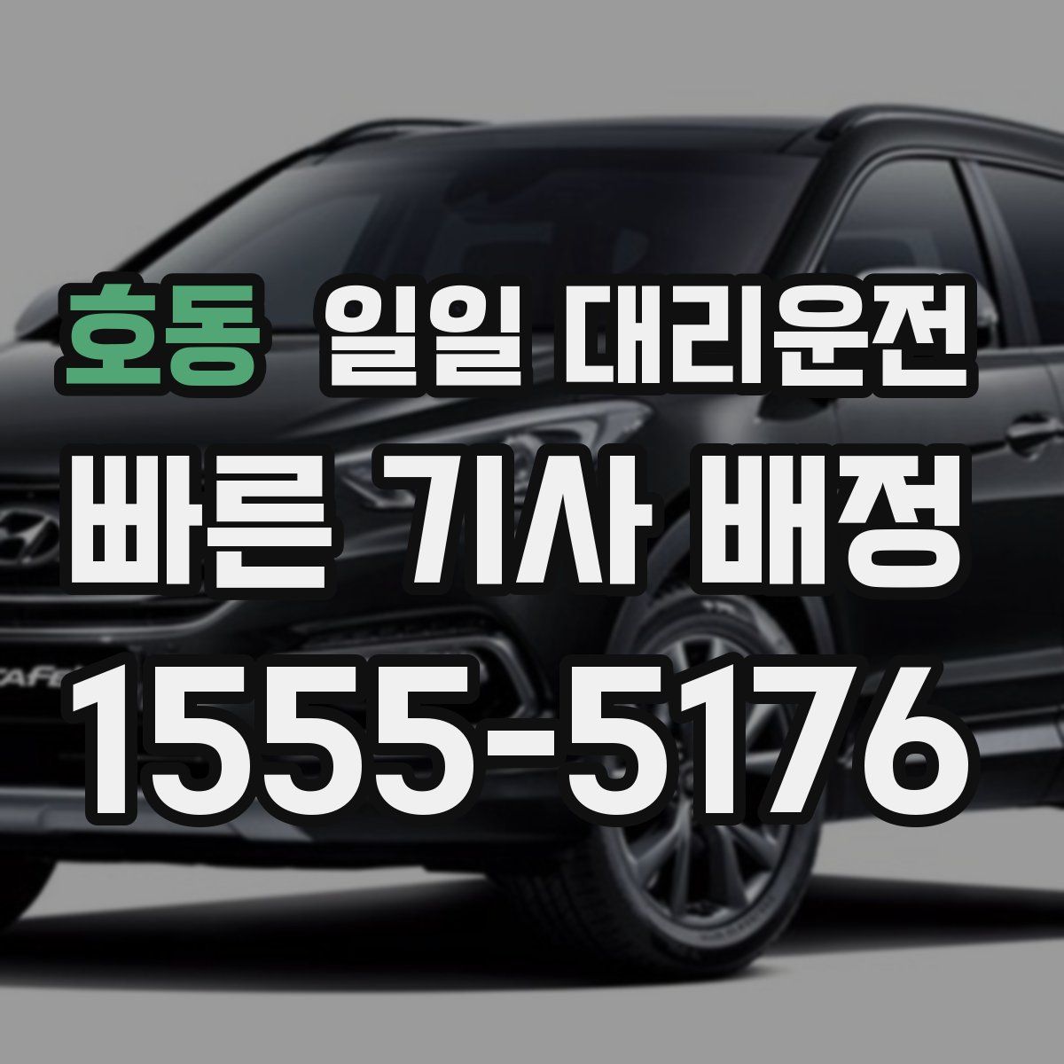 호동 일일 대리운전