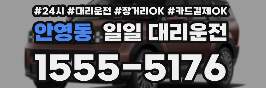 안영동 일일 대리운전