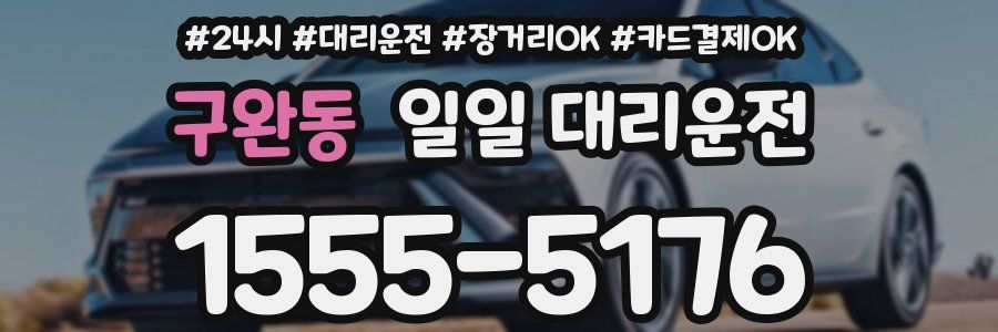 구완동 일일 대리운전