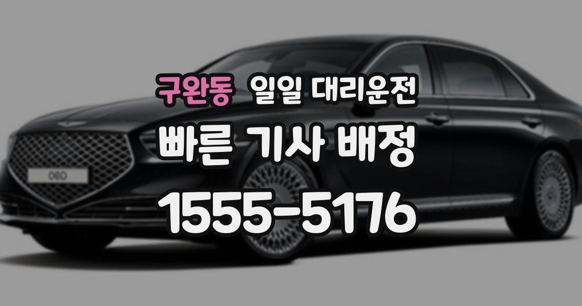 구완동 일일 대리운전