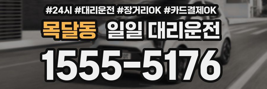 목달동 일일 대리운전