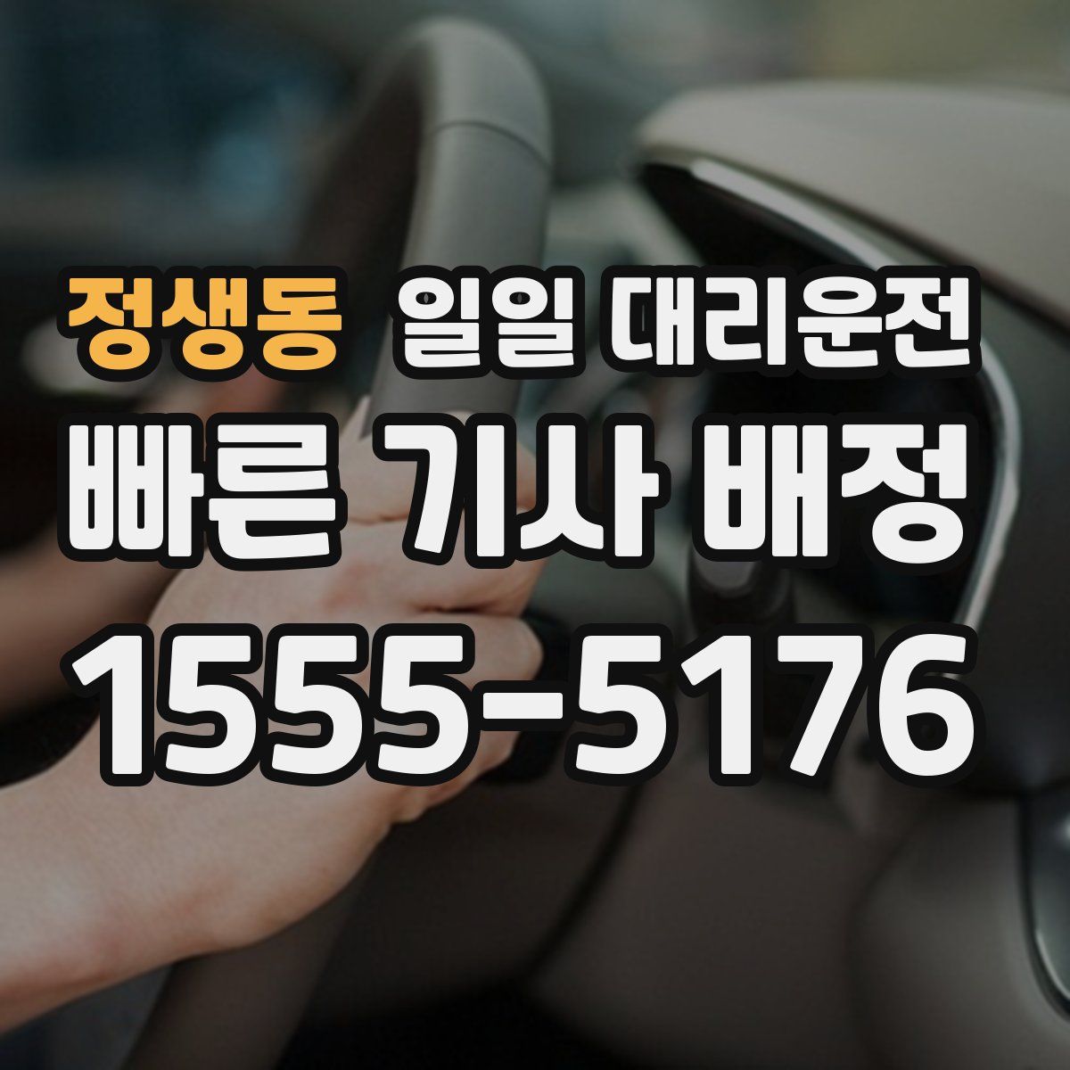 정생동 일일 대리운전