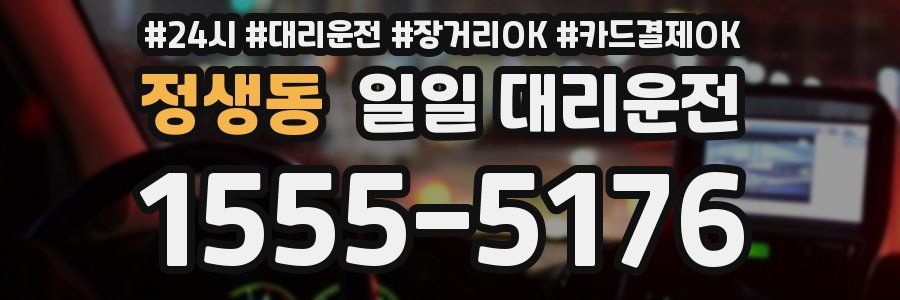 정생동 일일 대리운전