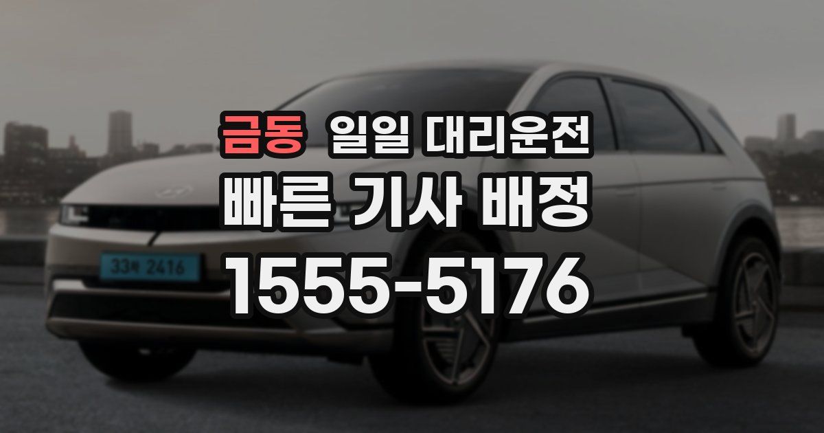 금동 일일 대리운전