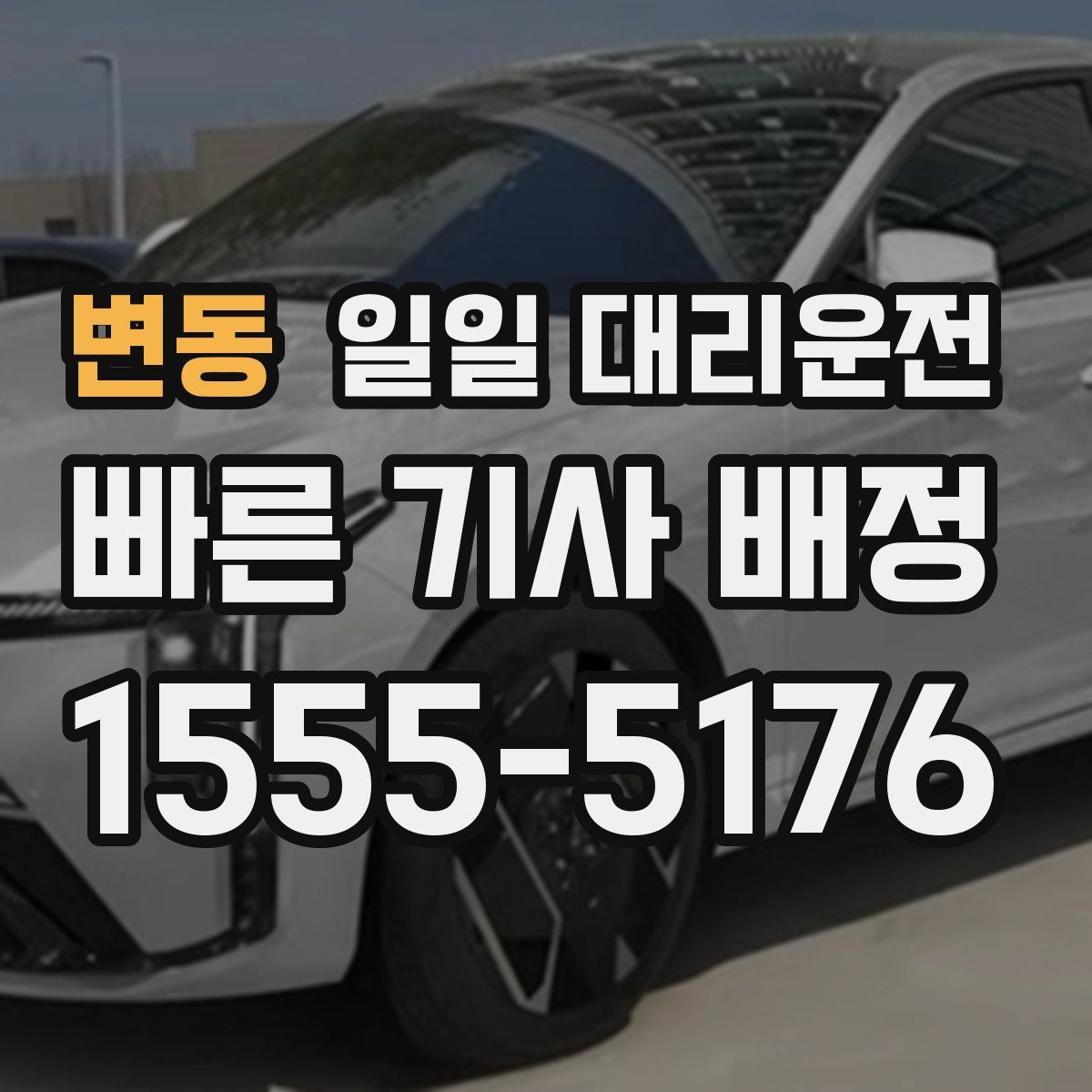 변동 일일 대리운전