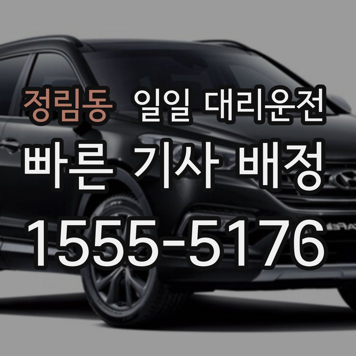 정림동 일일 대리운전