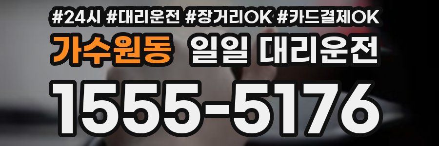 가수원동 일일 대리운전