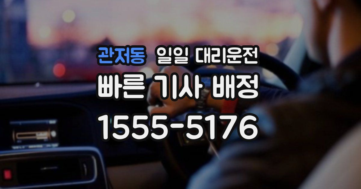 관저동 일일 대리운전