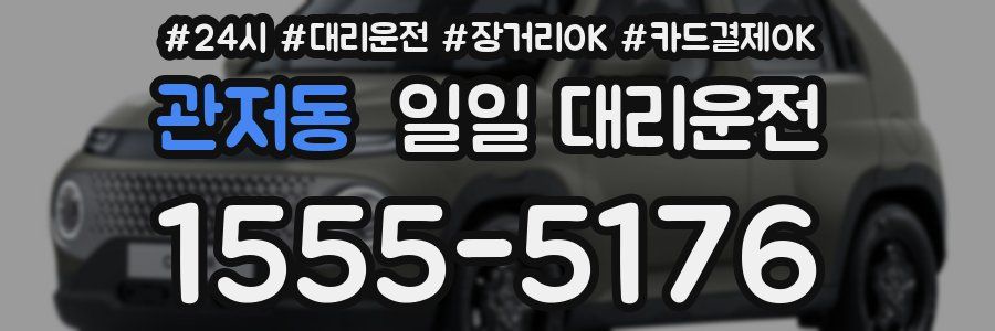 관저동 일일 대리운전