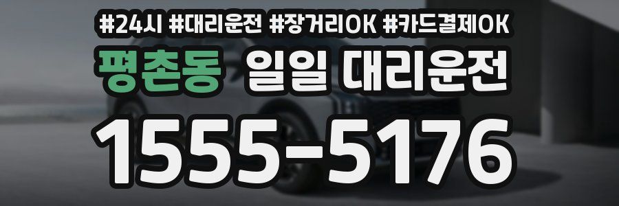 평촌동 일일 대리운전