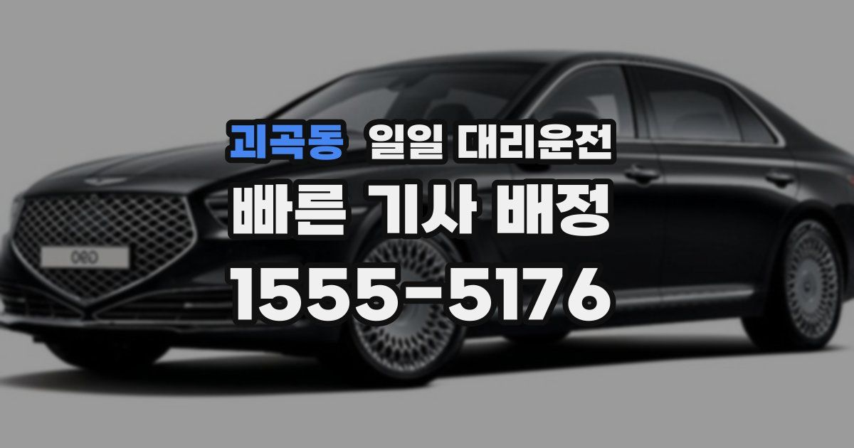 괴곡동 일일 대리운전
