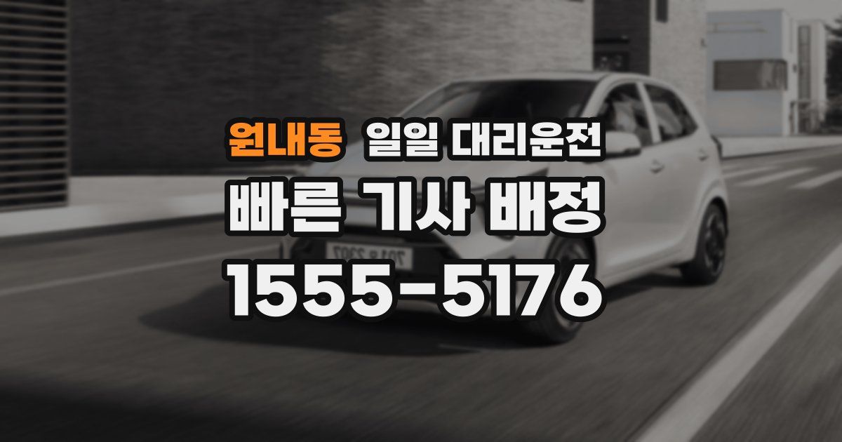 원내동 일일 대리운전